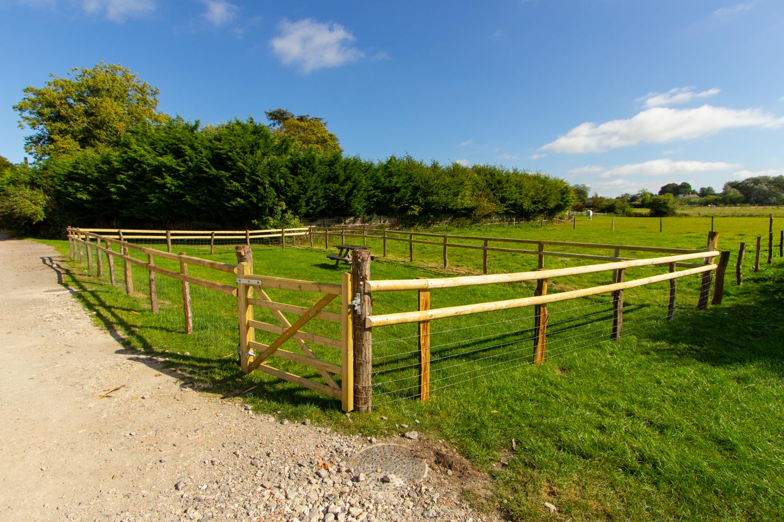 Our dog-friendly fully fenced lawn area is the perfect place for children and pets to play alike.